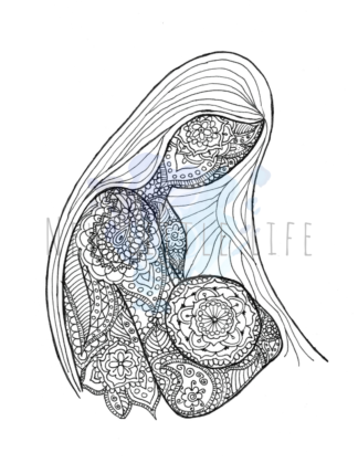 Cradle Hold - Breastfeeding Coloring Page